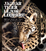 Jaguar, tiger, lejon, leopard : möten med de fyra stora kattdjuren