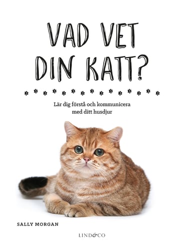 Vad vet din katt? : lär dig förstå och kommunicera med ditt husdjur