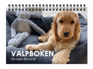 Valpboken : din hunds första år