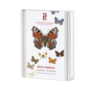 Fjärilar : dagfjärilar. Hesperiidae : nymphalidae