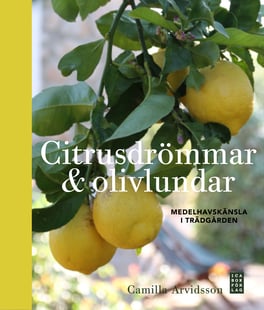 Citrusdrömmar & olivlundar : medelhavskänsla i trädgården