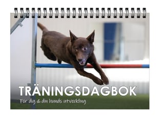 Träningsdagbok : för dig och din hunds utveckling