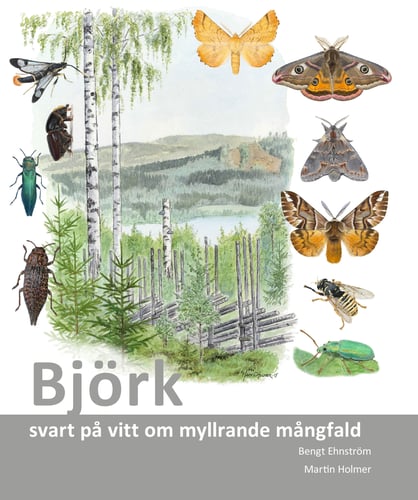 Björk : svart på vitt om myllrande mångfald