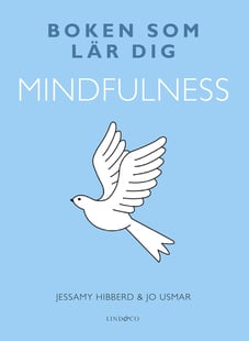 Boken som lär dig mindfulness