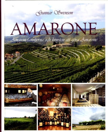 Amarone : Amaronefamiljerna och konsten att göra Amarone