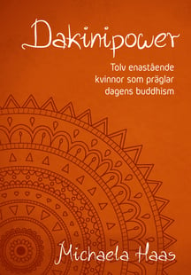 Dakinipower : tolv enastående kvinnor  som präglar dagens buddhism
