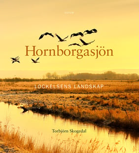 Hornborgasjön : Lockelsens landskap