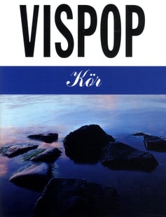 Vispop Kör 1 av Michael Winterquist