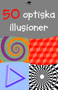 50 optiska illusioner - Sam Taplin