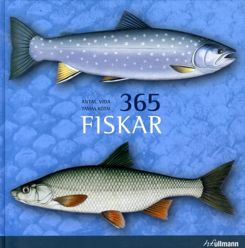 365 Fiskar - Antal Vida