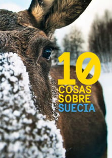 10 cosas sobre suecia : spansk 5 pack