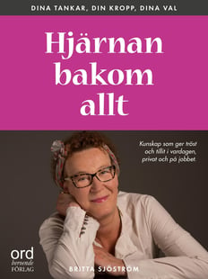 Hjärnan bakom allt av Britta Sjöström