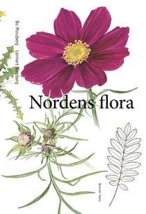 Nordens flora - Bo Mossberg