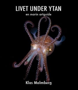 Livet under ytan - en marin artguide