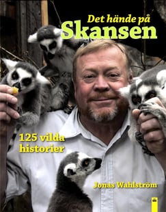 Det hände på Skansen : 125 vilda historier