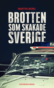Brotten som skakade Sverige - Martin Borg