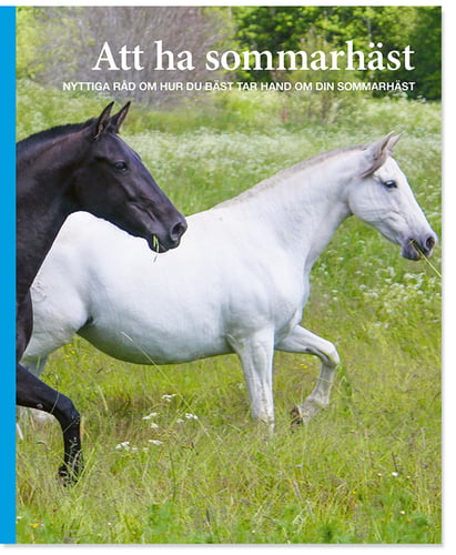 Att ha sommarhäst - Ann Svärding