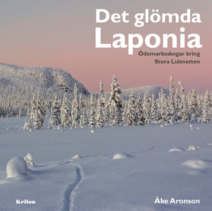 Det glömda Laponia : Ödemarksskogar kring Stora Lulevatten