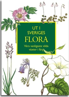 Ut i Sveriges Flora: våra vanligaste vilda växter i färg