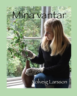 Mina vantar av Solveig Larsson