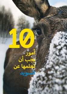 10 things to know about Sweden: arabiska 5-pack