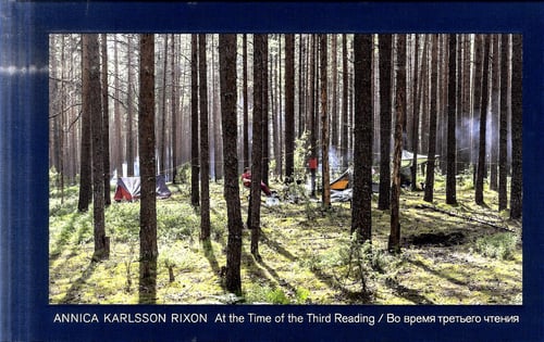Annica Karlsson Rixon : At the time of the third reading