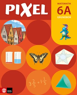 Pixel 6A Lärarbok - Bjørnar Alseth
