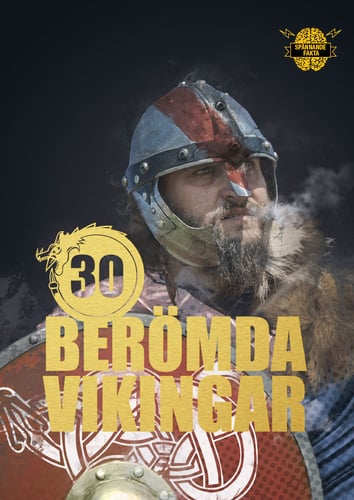 30 berömda vikingar - Illugi Jökulsson