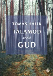 Tålamod med Gud - Tomás Halik
