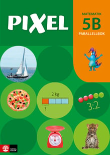 Pixel 5B Parallellbok, andra upplagan