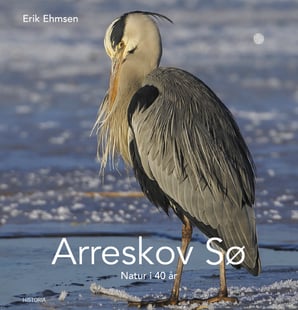 Arreskov Sø – Natur i 40 år