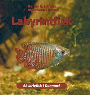 Labyrintfisk