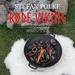 Røde viking af Stefan Polke