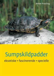 Sumpskildpadder