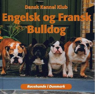 Engelsk og fransk bulldog