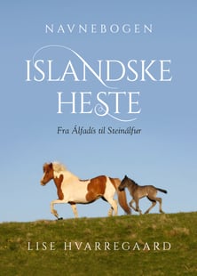 Navnebogen Islandske heste