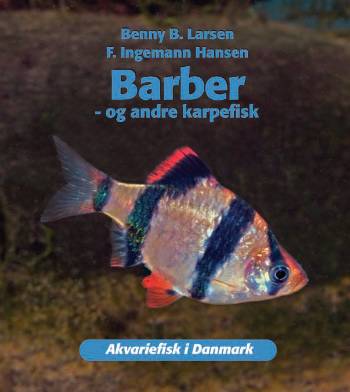 Barber - og andre karpefisk