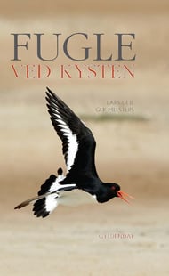 Fugle ved kysten - Lars Gejl og Ger Meesters
