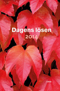 Dagens Lösen 2014