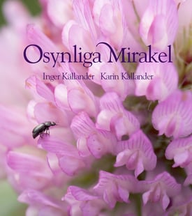 Osynliga mirakel - Inger Källander