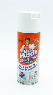 Mr Muscle Desinfectant Spray Outdoor 400ml