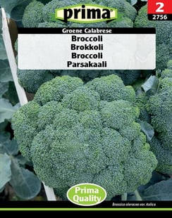 Broccoli Groene Calabrese frø