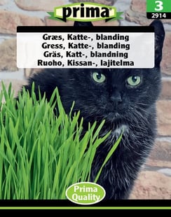 Gräs, Katt-, blandning