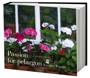 Passion för pelargon : en samlares möten