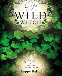 Craft of the wild witch - green spirituality and natural enchantment