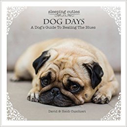 Dog Days : A Dog’s Guide to Beating the Blues